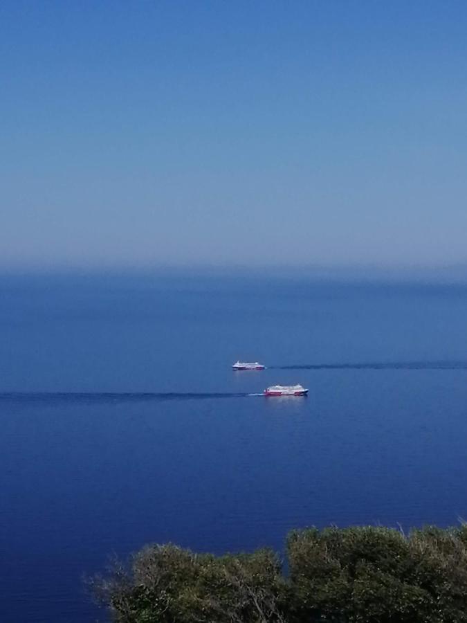 Aegean Deep Blue Andros Ano Aprovato Leilighet Eksteriør bilde